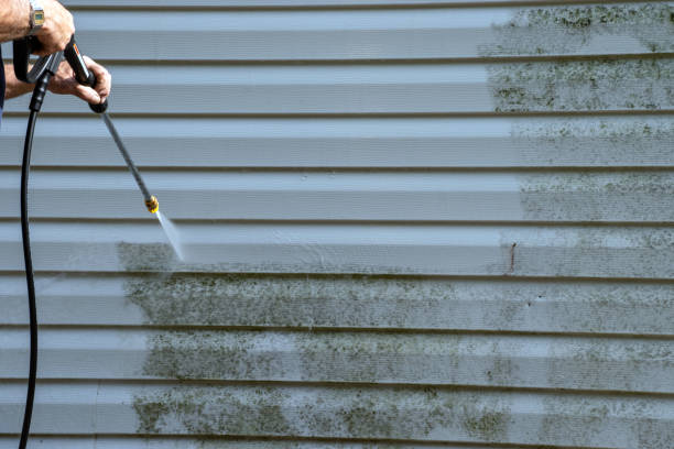 Best Siding Painting and Refinishing  in Upper Pohatcong, NJ