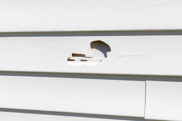 Affordable Siding Repair and Maintenance Services in Upper Pohatcong, NJ